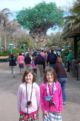 Animal Kingdom