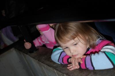 Reagan looking at stingrays