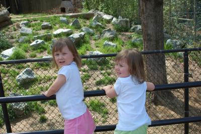 Rory on the left watching a Fox