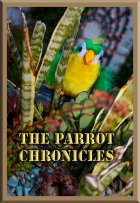 Parrot Chronicles