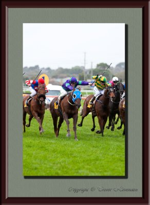 Warrnambool May Racing Carnival 2010