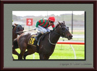 Warrnambool May Racing Carnival 2010