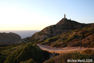 Landscape (Il Faro - S.Pietro Island)