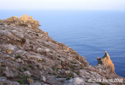 Landscape (Toro Island)