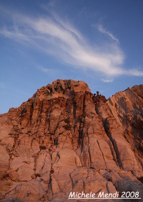 Landscape (La Canne d'organo - S.Pietro Island)