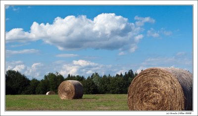 Hay bales