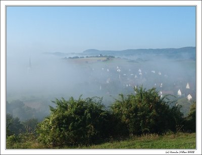 Autumn Fog