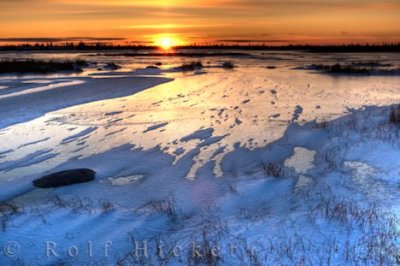 arctic tundra sunset