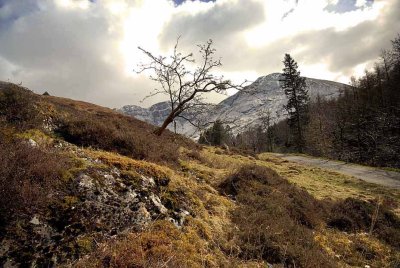 Glencoe