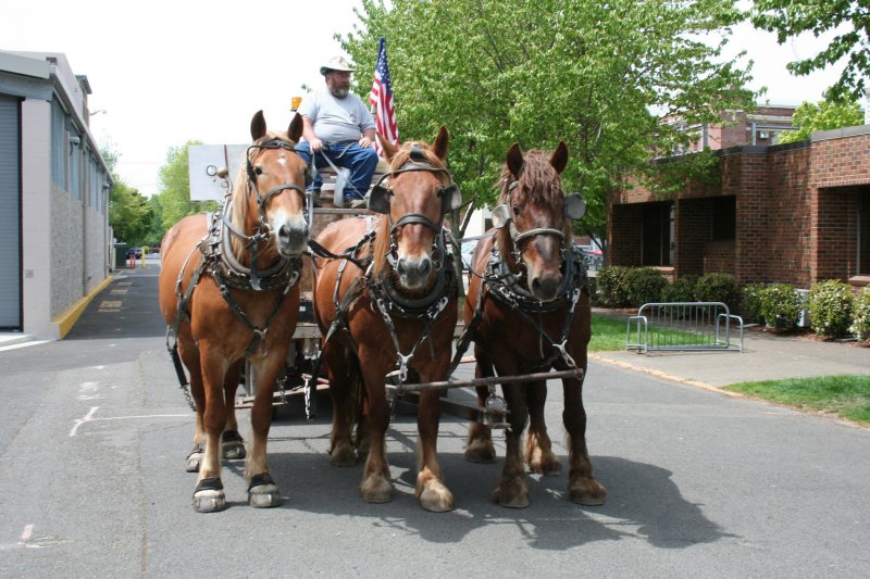 Lee, The Horse Logger