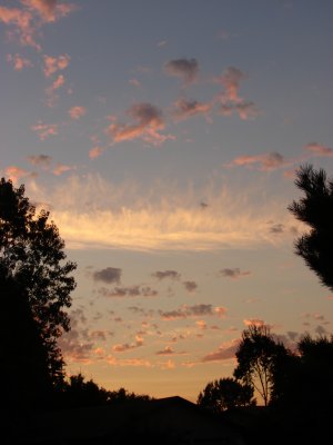 Sundown Silhouette