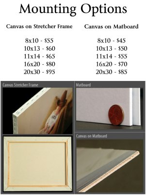 Mounting Options