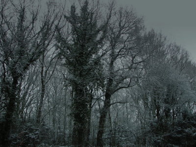 g3/36/804836/3/120441372.v5GRmE9f.jpg