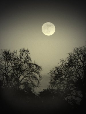 Full moon Barnes London SW.jpg