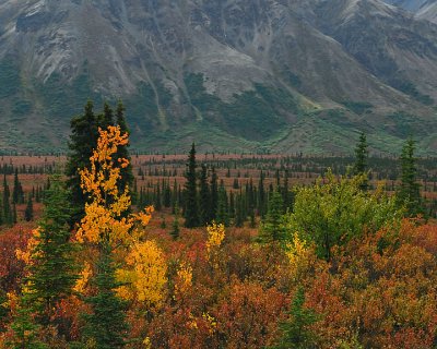 Fall in the Alaska Range
