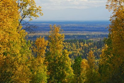 Tanana Valley View