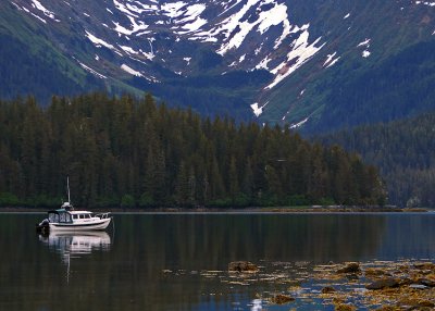 Placid Anchorage