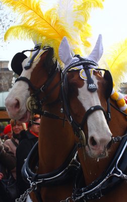 Carnevale di Ivrea 2009 22.JPG