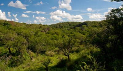 Cordoba - Campos de Gri-02012010-9126.jpg