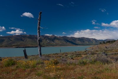 El Calafate - Perito Moreno-17122009-8441.jpg