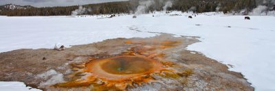 Mid Geyser Basin - Yellowstone, WY