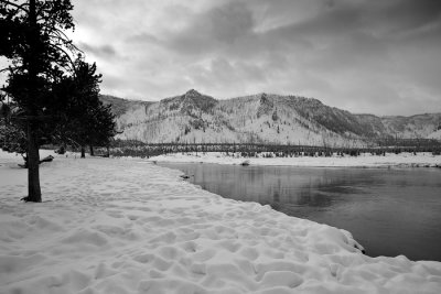 Yellowstone