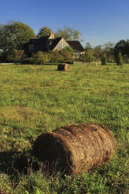 House in the field