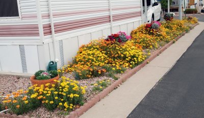 az_spring_2009_all_in_vdo