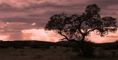 After the storm