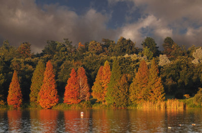 Autumn