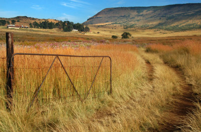 Farm gate