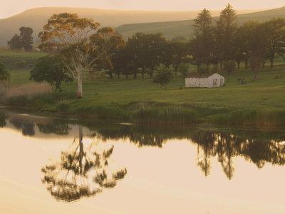 Forgotten farm house