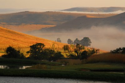 Misty farm scene