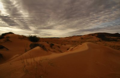 Witsand