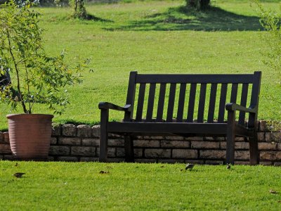 bench