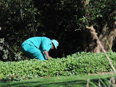 maintaining the garden