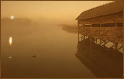 bird hide