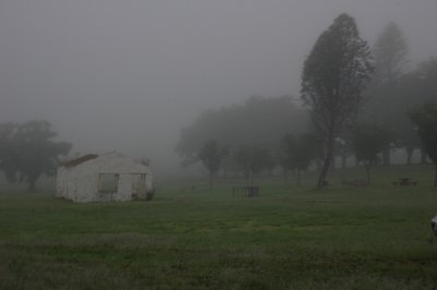 desolated