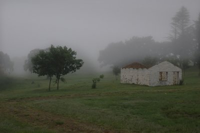 early morning fog