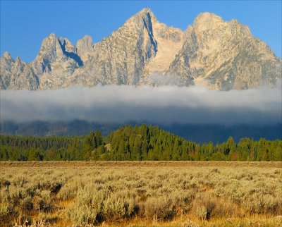 Morning in the Tetons