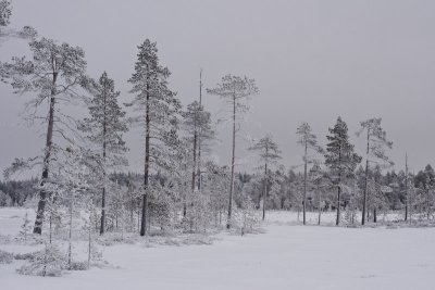 DSC02766_small.jpg