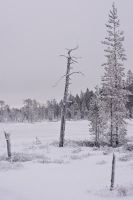 DSC02775_small.jpg