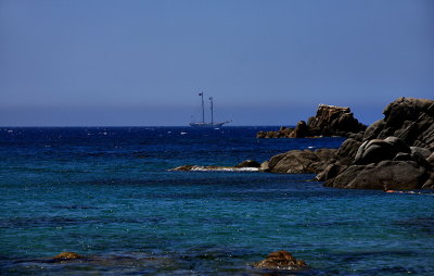 The Black Pearl