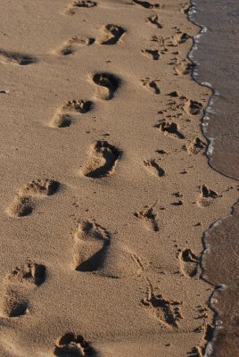 family footprints