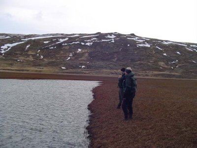 Jommi binn a krkja  einn