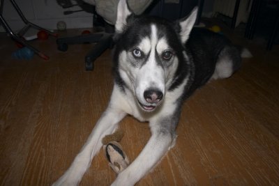 CRW_5973.jpg