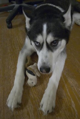 CRW_5978.jpg