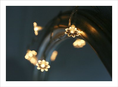 Christmas lights