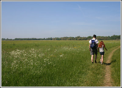 g3/37/256437/3/124828237.5QFrLiUs.jpg