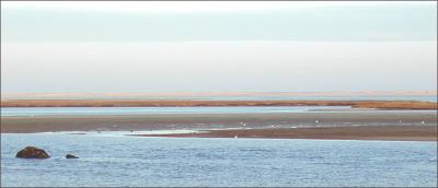 Nauset Harbor, Christmas Day
